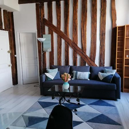 Evasion Autour De Poutres Et Pierres Plein Centre Apartman Orléans Kültér fotó